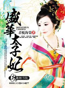 盛华兰成为太子妃的免费阅读