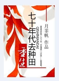 重生七零年代种田