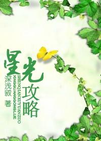 星光攻略by