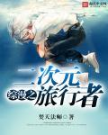 二次元无限流