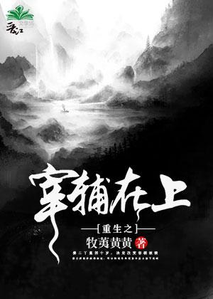 重生之宰辅在上作者牧荑黄黄