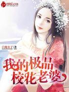 我的极品老婆大结局了么